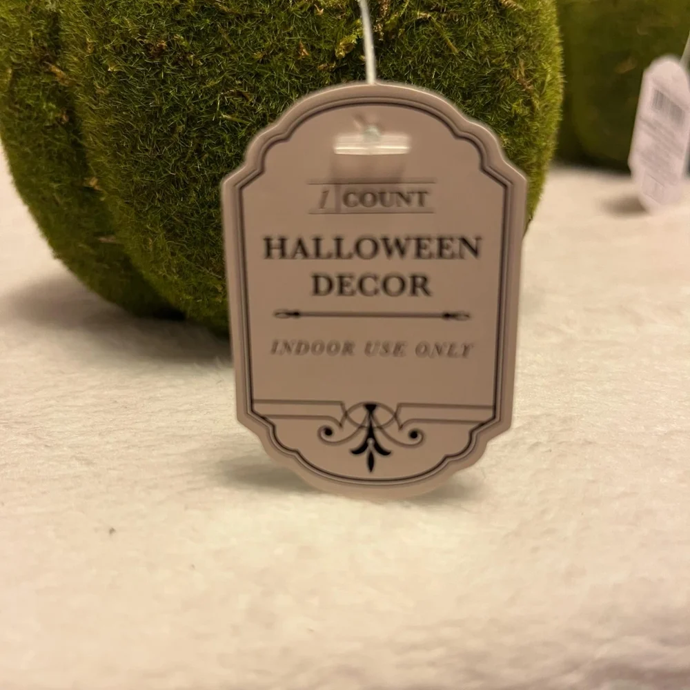 Target DISCONTINUED Moss Covered Pumpkin Set of Two